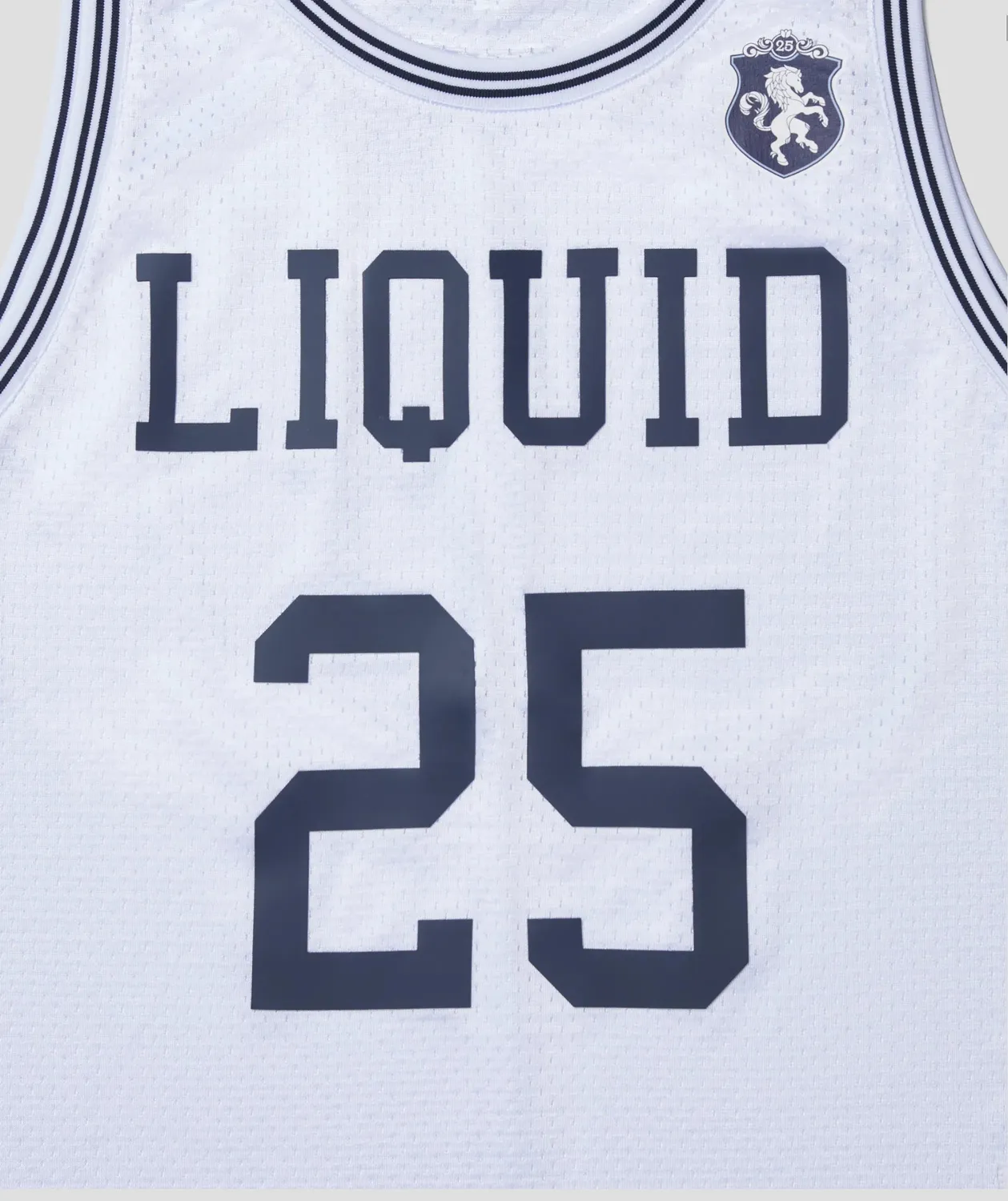 Team Liquid Quarter Century Basketball Jersey Trikot