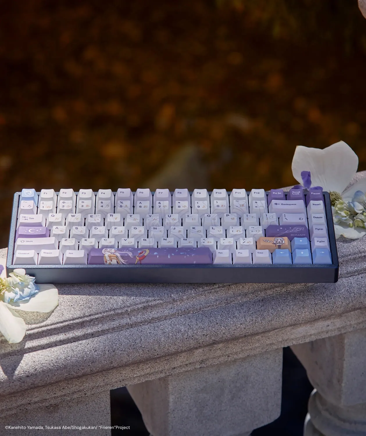 Team Liquid Frieren Keycap Set Tastenkappen