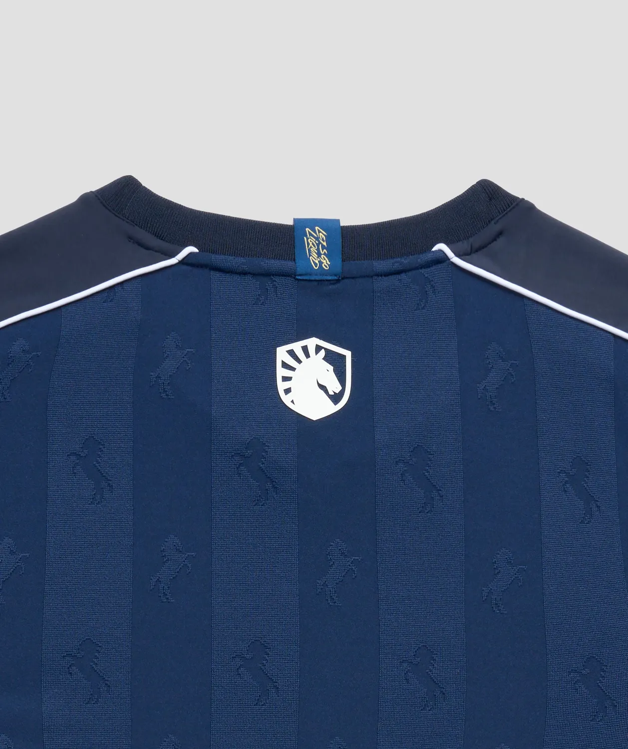 Team Liquid 2026 Alienware Jersey Pro Kit