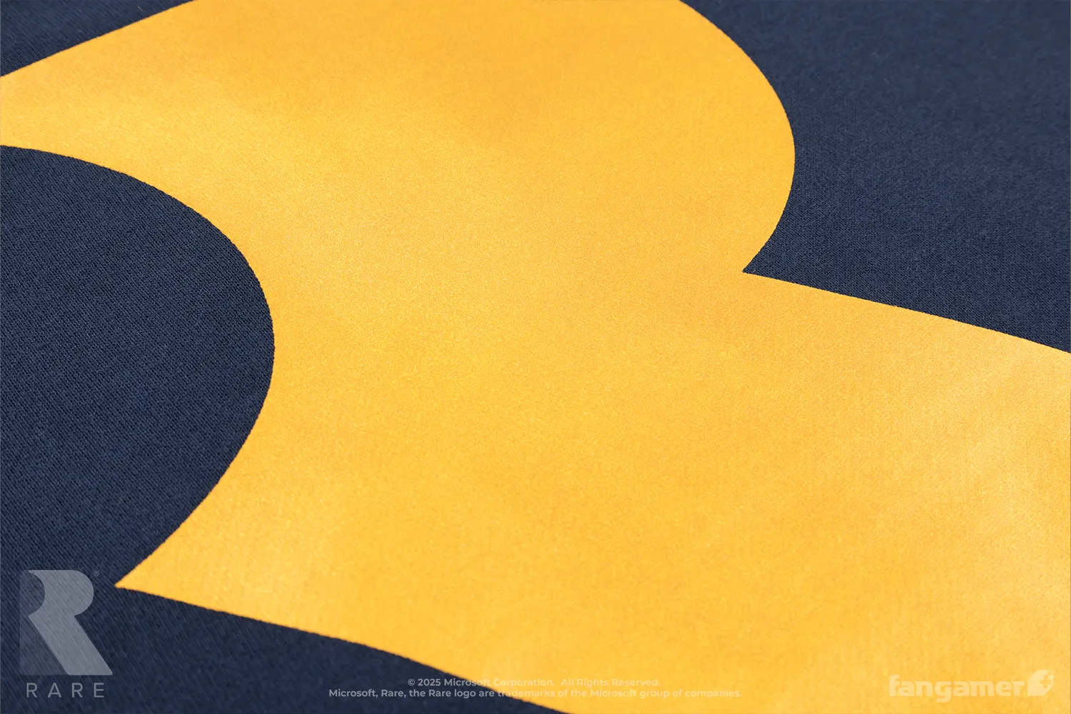 Fangamer Rareware 40th Anniversary Varsity Hoodie bestickt