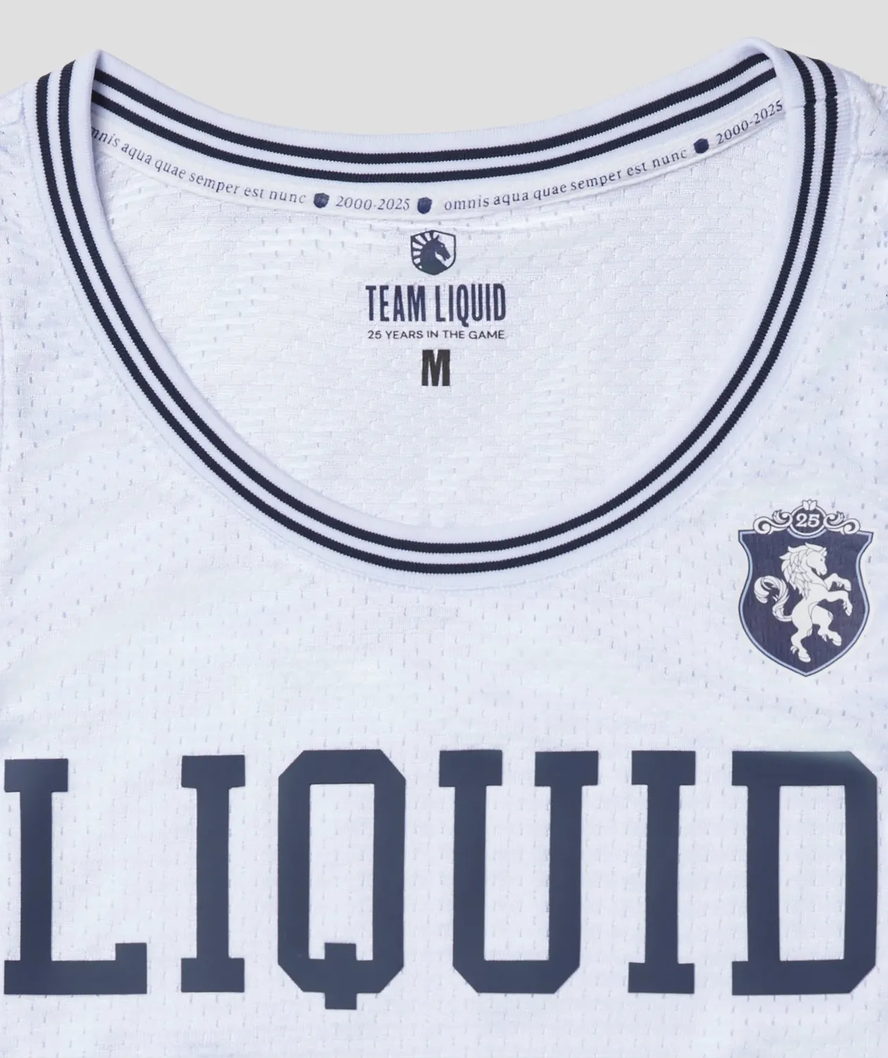 Team Liquid Quarter Century Basketball Jersey Trikot